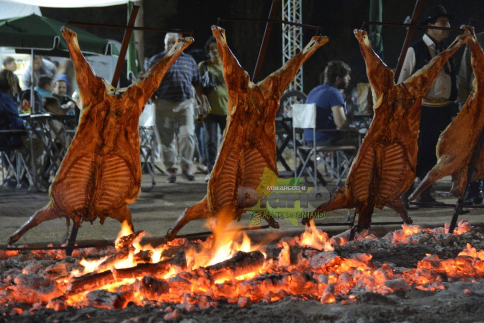 3003cabrito4x4minaclavero-1428968