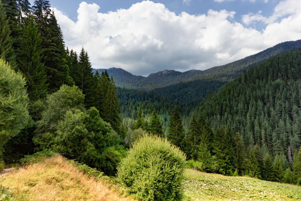 planina-rodopi